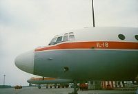 IL-18