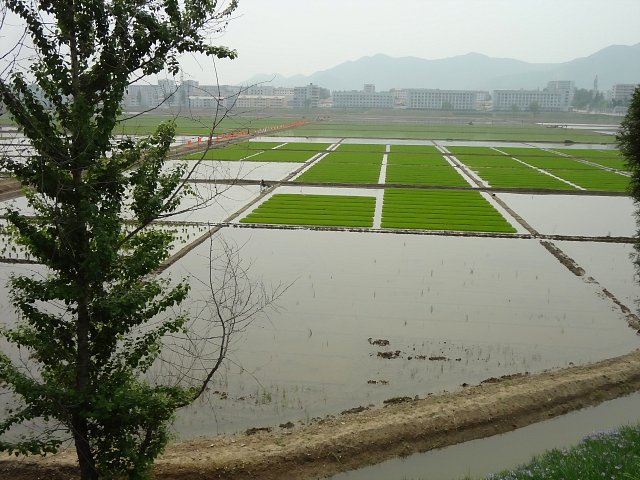 20130524-nampo-1008