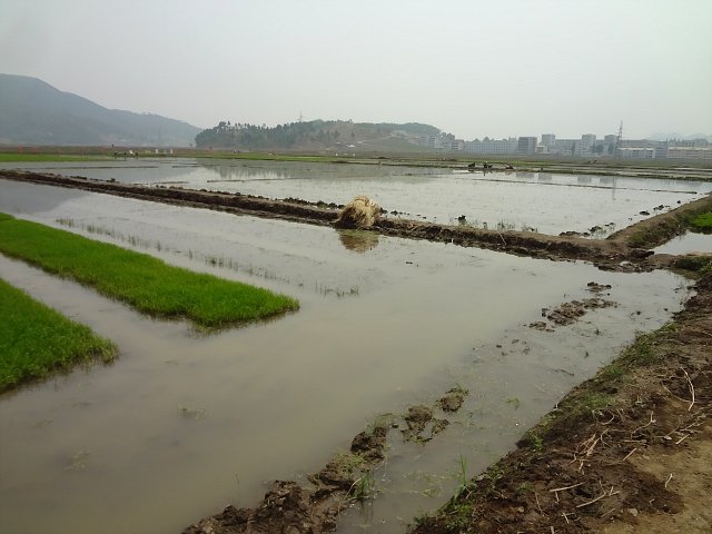 20130524-nampo-1012