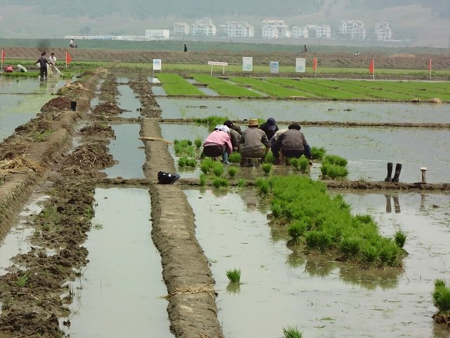 20130524-nampo-1018