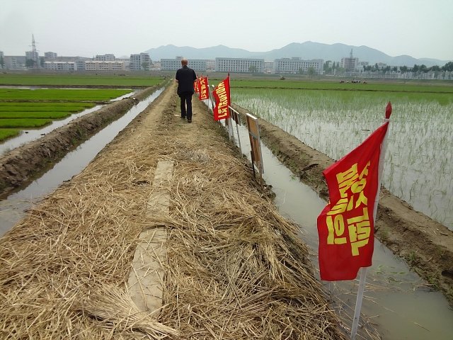 20130524-nampo-1021