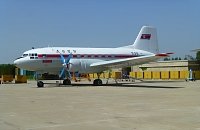 IL-14